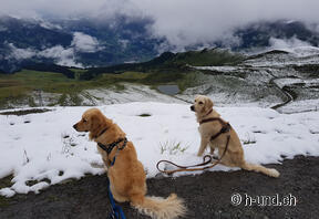 Station de montagne Maennlichen