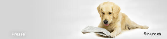 I nostri reporter