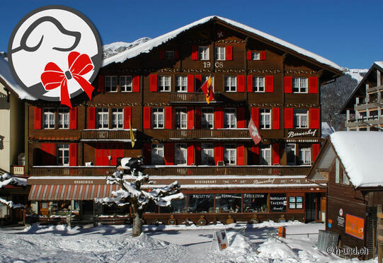 Swiss Lodge Hôtel Bernerhof