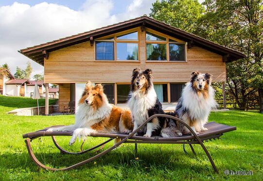 Gut Feuerschwendt GmbH