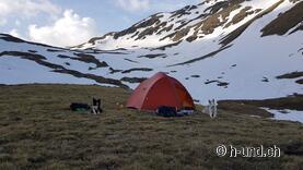 Gypsie and Mia in front of the campground