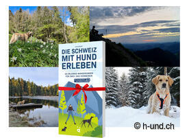 Bestseller Hundebuch: Die Schweiz mit Hund erleben