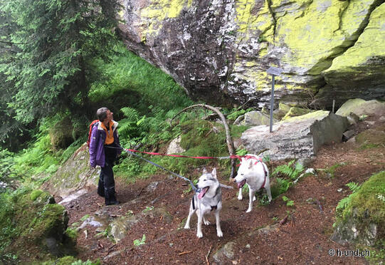 Ancienne voie Zerfreila - Réservoir - Zerfreila - Gadastatt