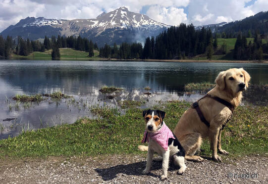 Gstaad-Lauenensee-Lauenen